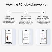 Reformly board + 90-Day Plan